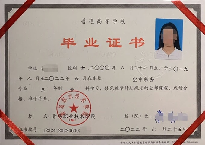 卫东青岛职业技术学院毕业证样本图片